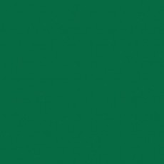 Линолеум спортивный Tarkett OMNISPORTS ACTION 40 FIELD GREEN