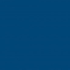 Линолеум спортивный Tarkett OMNISPORTS ACTION 40 ROYAL BLUE
