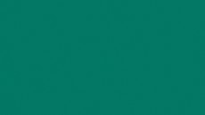 Линолеум спортивный Tarkett OMNISPORTS ACTION 65 FOREST GREEN