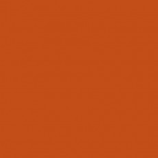 Линолеум спортивный Tarkett OMNISPORTS ACTION 65 ORANGE