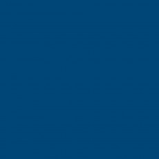 Линолеум спортивный Tarkett OMNISPORTS ACTION  R65 ROYAL BLUE