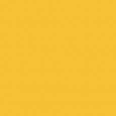 Линолеум спортивный Tarkett OMNISPORTS ACTION 65 YELLOW